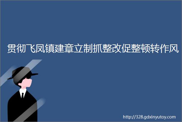 贯彻飞凤镇建章立制抓整改促整顿转作风