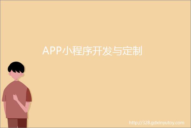 APP小程序开发与定制